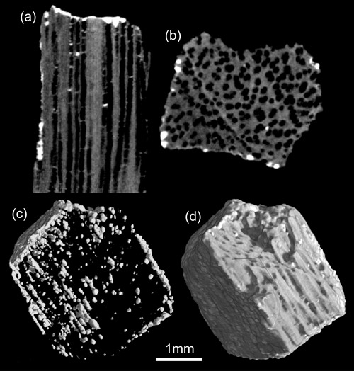 28_2-Carbon-Fig3