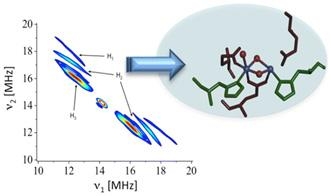 The new multidimensional EPR spectroscopy method, 2D HYSCORE, is able to capture the reactions that split water and hydrogen peroxide in metal-containing proteins or metallo-enzymes in nature. Credit: RPI Schematic of the 2D HYSCORE method
