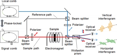 Block diagram of Faraday effect measurement system using dual-comb spectroscopy. The signal comb (red line) passes through the sample and is superposed with the local comb (blue line). The vertical and horizontal components of the interference signal are detected by the two optical receivers. Applying magnetic field to the sample, the Faraday effect (Faraday rotation angle) is measured. Credit: ©The University of Electro-Communications, Kaoru Minoshima and NEOARK.
