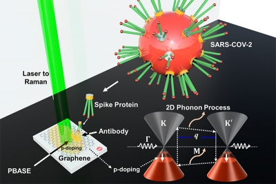 An illustration of the graphene-based COVID-19 spike protein detection process. The white rectangle represents the substrate with graphene functionalised with SARS-CoV-2 antibody (shown in yellow). When this graphene detector interacts with the virus’ spike protein in a COVID-positive sample, its atomic vibration frequency changes. Illustration: Vikas Berry