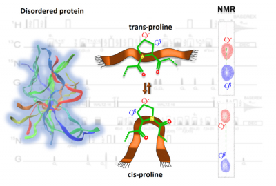 Important processes take place among the subunits of the molecules that make up our cells. Defects in these processes or distortions in the subunits can lead to serious diseases. In order to better understand this microscopic world, Hungarian and German researchers have jointly developed a method that reveals changes in the structure of proteins more efficiently and accurately than before. Illustration: Bodor Andrea / Eötvös Loránd University