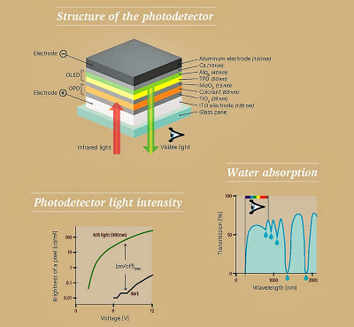 The IR photodetector resembles a sandwich of several layers. IR light is absorbed in the organic photodetector (OPD), creating electrical charges. Graphic: Empa