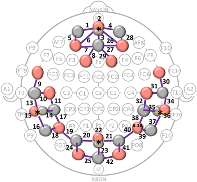 fNIRS montage: 16 sources (red circles) and 16 detectors (grey circles) forming channels were placed on frontal, temporal and occipital regions of the scalp. Channel numbers are shown. 36 long and 4 short channels (marked by * and yellow source-detector links) were formed. Reproduced from https://doi.org/10.1371/journal.pone.0241695.g002